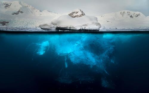 Portrait of an Iceberg, Antarctica