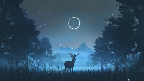 Deer under the moonlight [1920 x 1080]
