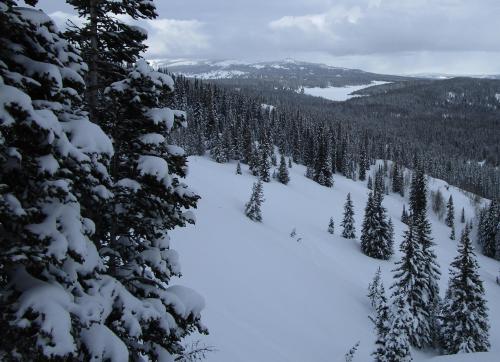 A wintry scene near Steamboat Springs, Colorado