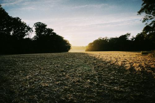 A hazy sunset over a fresh cut Virginia corn field