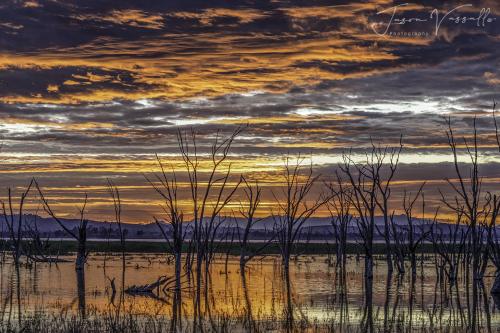 "4Reflections" rural Australia