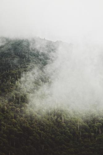 smoky mountains