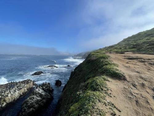 Looking south as fog rolls into Tomales Bay, CA