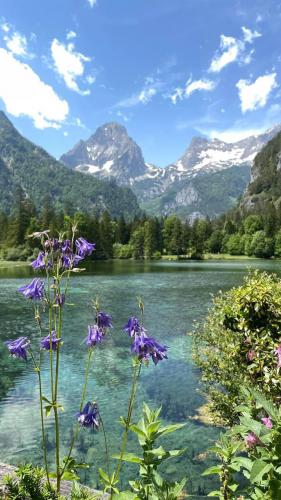 Schiederweiher, Upper Austria