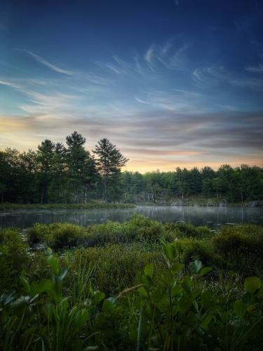 Dawn on the lake, South Frontenac, Ontario Canada