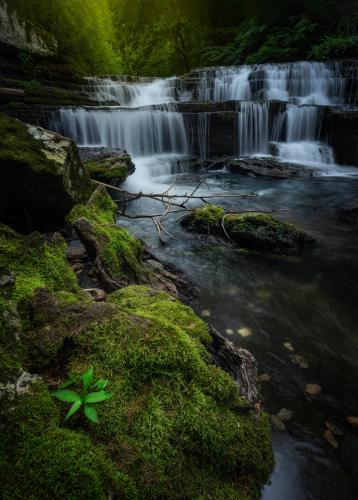 I'd Argue Tennessee Has Better Waterfalls then Oregon ~ Busby Falls