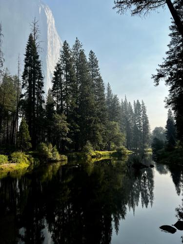 Reflection of Mother Earth in Yosemite