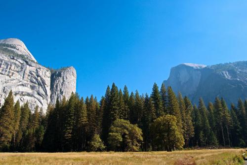 Working on my camera skills at Yosemite National Park