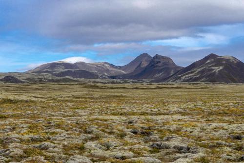 Side of Road, South Iceland  [