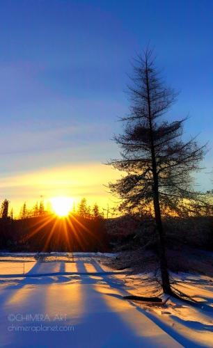Winter sunset. Länsi-Suomi, Finland.
