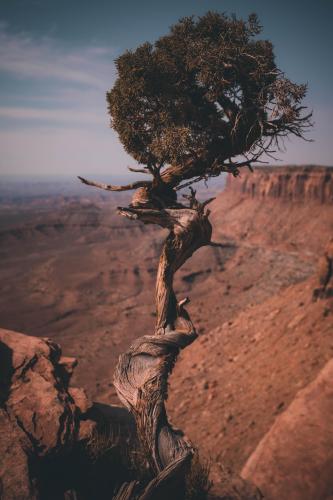 Island in the Sky - Canyonlands National Park  IG: JoeGoodz