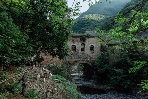 An uninhabited village in the Taihang Mountains of China, the last villager died in 200X. Now there lives a hermit who moved from the city. in the morning he takes his flock out of the village to tend sheep.  2019