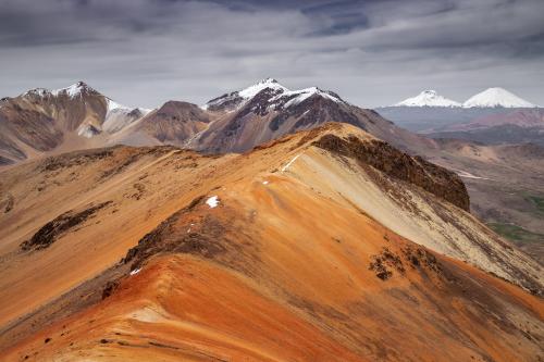 Suriplaza, Chilean altiplano