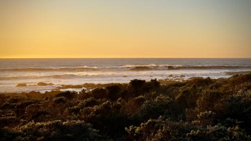 Pacific Horizon | Moonstone Beach, Cambria, CA, USA |