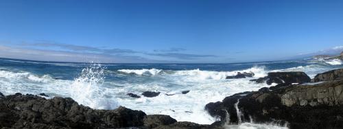 California Coast, 5min North of Bodega Bay