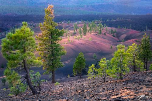 The Painted Dunes at Sunrise, in Lassen Volcanic National Park in California  @JeremyVeselyPhotography