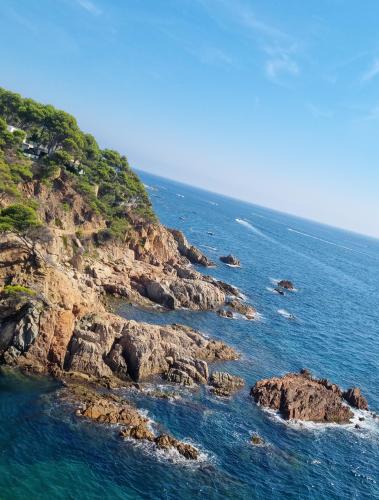 Punta de Canyers, Costa Brava, Catalunya, Spain