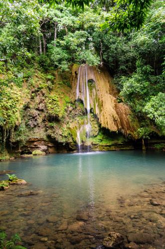 Waterfall in El Limón, Dominican Republic