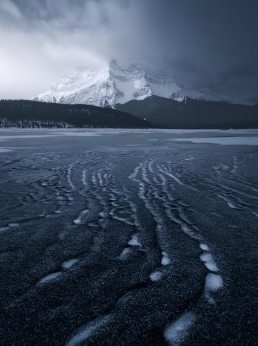 "Sentry" - Canadian Rockies -