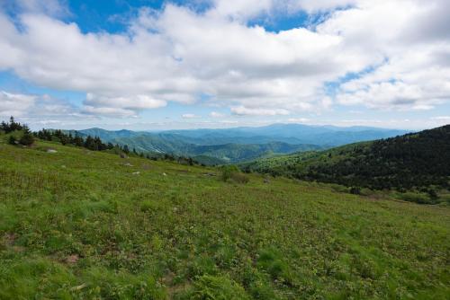 Stunning hike where the first half was all fog whipping around us and the peaks, and then blue skies on the second half. Grassy Bald Tennessee.