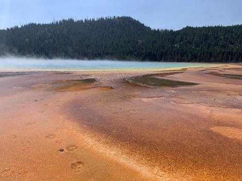 Grand Prismatic Spring, Yellowstone National Park