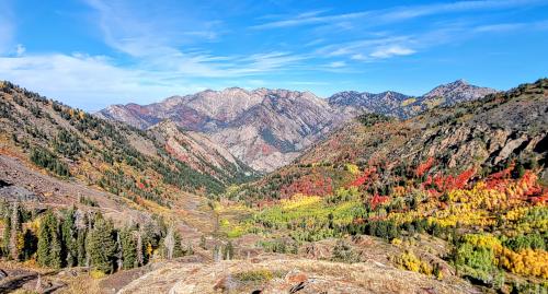 Mid-October in the Wasatch mountains, Utah