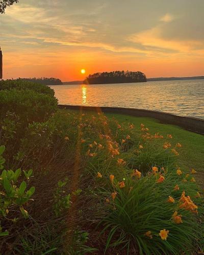 Lake Martin