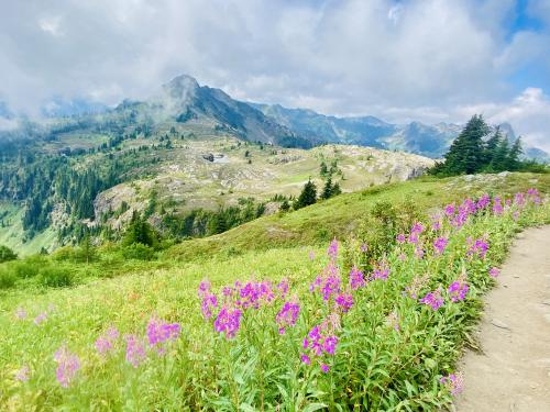 Trail to Yellow Aster Butte Washington