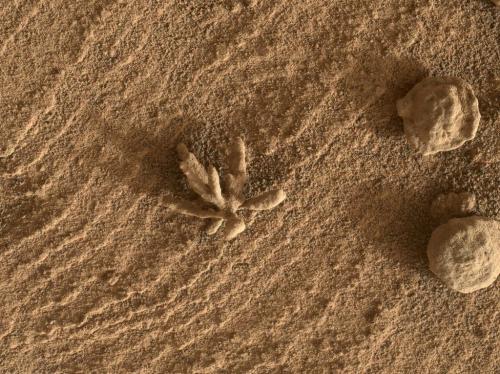 Curiosity Finds a Martian "Flower"