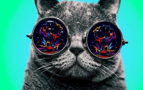 Combined two images to make this... I call it, Spectre Cat!