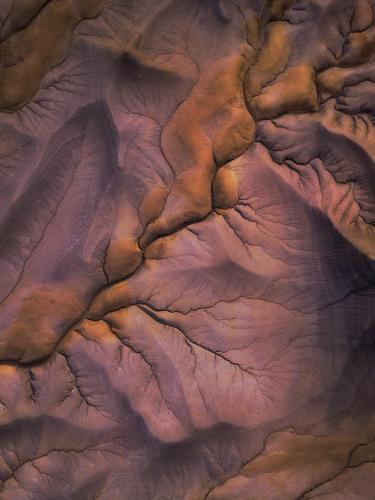 Amazing Nerve-like Textures from Utah