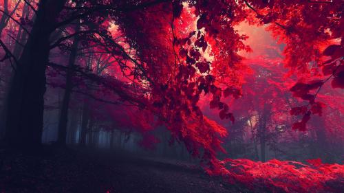 Red forest