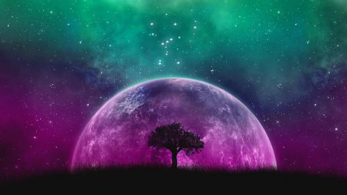 Galaxy