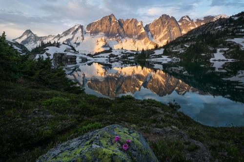 Delicate beauty in the Coast Mountains of British Columbia