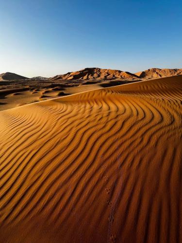 Rabbit tracks in the sand - Arabian desert, Oman