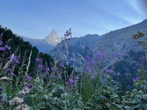 The Matterhorn, Switzerland