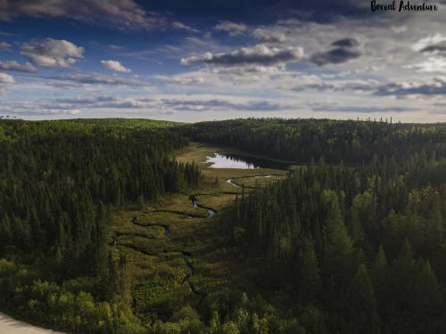 Random oxbow stream. Thunder Bay district, Ontario