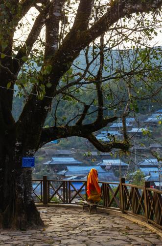 Mengka, the little monk looked at the Dai village below under an old tree. Theravada Buddhism flourishes here. Like Thailand, Laos and other countries, many children are sent to temples to practice. 2016 China