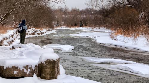 Snowy River Surrounded Trees