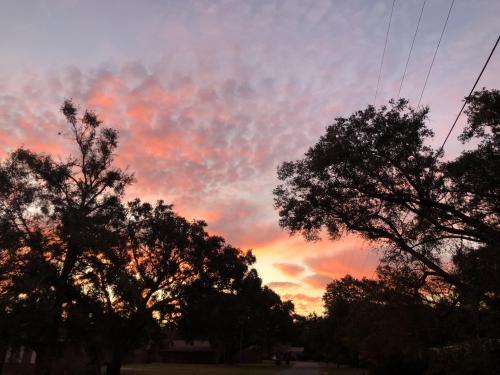 Florida Dec 2021 sunset