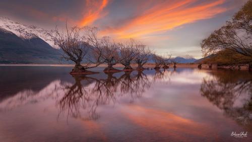 WILL-OH ‼️ Glenorchy, NZ