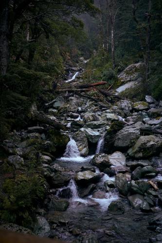 Routeburn Track, New Zealand