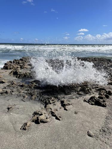 Blowing Rocks in Jupiter, FL