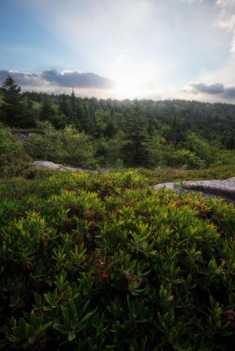 Sunset from Cadillac Mountain in Acadia National Park