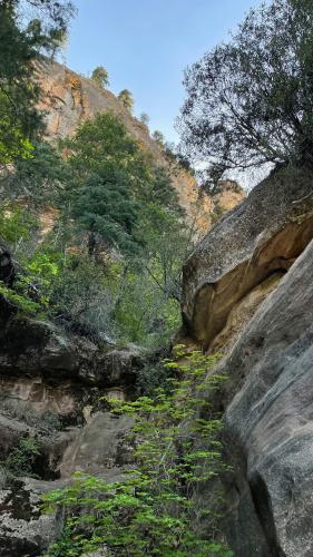 Wilson Mountain, Arizona