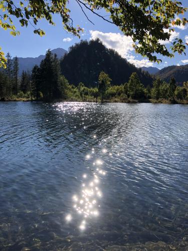 Almsee in Upper Austria