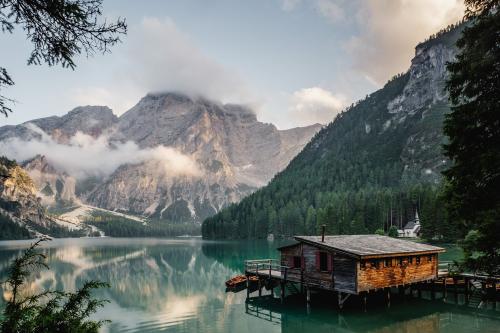 banana-trees-cabin-clouds-daylight :