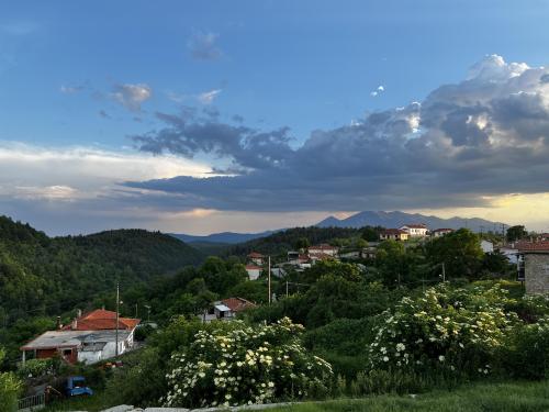 Skalotí , northern Greece. After a heavy rain.