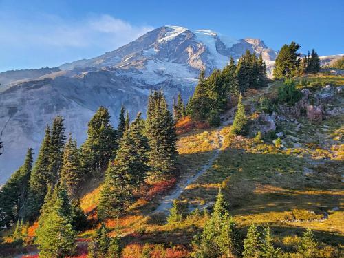 Mt Rainier National Park, WA, US