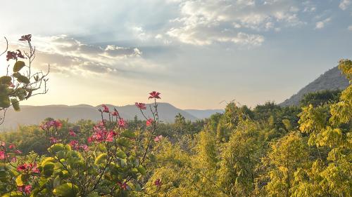 Aravali Hills, Udaipur, India